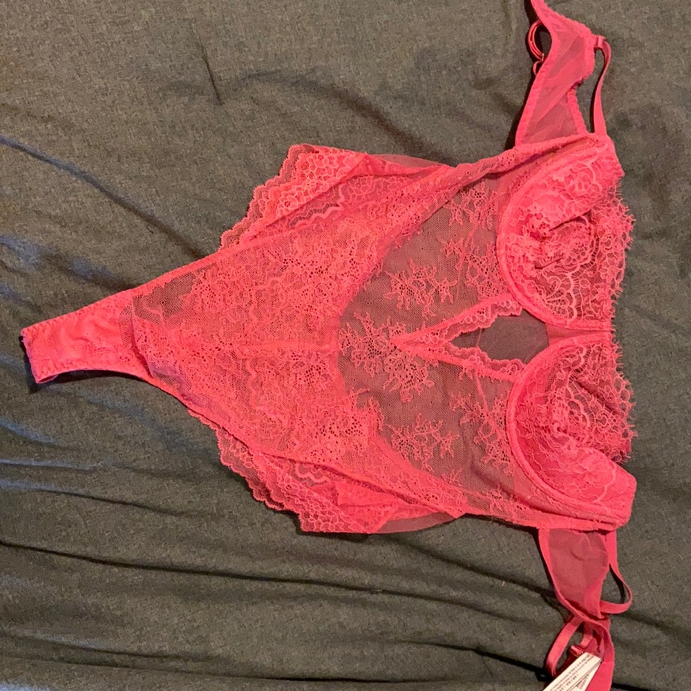 VS Wicked Sheer Mesh Embroidered Teddy